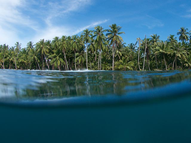Surf skate training at OMBE